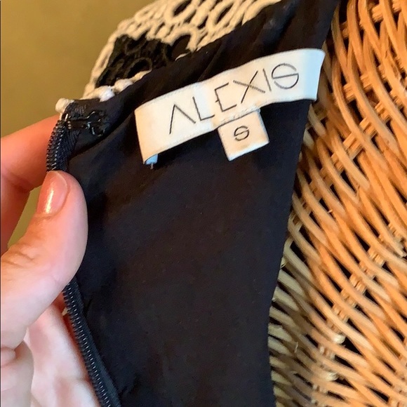 Alexis Eyelet Striped Dress - Picture 6 of 6